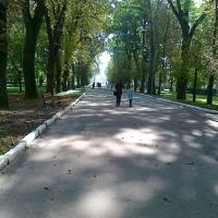 Парк, Радехов