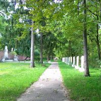 Кладовище біля лікарні, Радехов