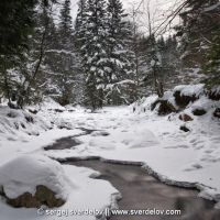 Winter river, Сколе