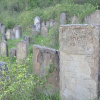 Staryi Sambir (Sambor) Jewish cemetery, Старый Самбор