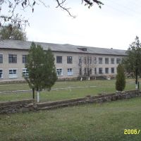 Больница, Веселиново