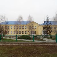 Гуманитарная гимназия, Веселиново