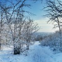 Доманевка. новый снег. панорама., Доманевка