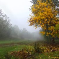 Осень, туман., Доманевка