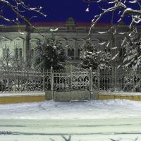 Сельхозтехникум ( зимняя ночь), Белгород-Днестровский