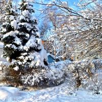 Снежный уголок города., Белгород-Днестровский