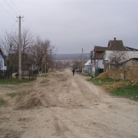 Улица, Березовка