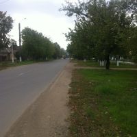Дорога в центр города, Березовка
