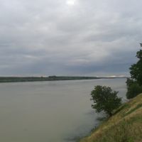 Danube., Рени