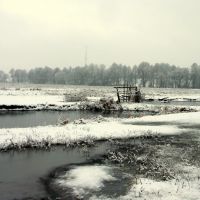 Winter swamp, Гребенка