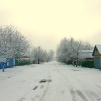Lesi Ukrainki street in winter, Гребенка