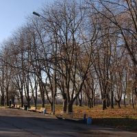 Осений парк, Кременчуг