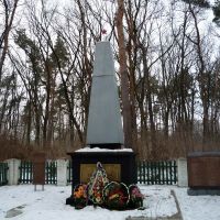 Памятник "Вічна слава борцям, загиблим в боротьбі з німецько-фашистськими окупантами" в сосновому парку, Лохвица
