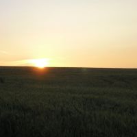 Схід сонця в Машівці, Машевка
