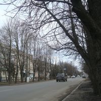 Улица Гоголя, Миргород