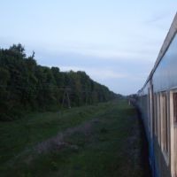 поезд гребёнка шевченко последовал станцию оржица, Оржица