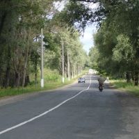Road from Chernukhy, Чернухи