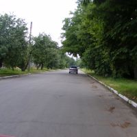 улица ленина, Шишаки