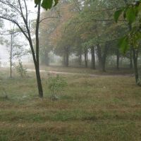 Парк в тумані, Владимирец