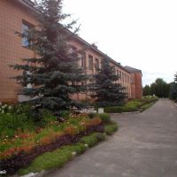 Школа, Демидовка