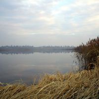 Осінній туман на ставку, Autumn Fog on the pond, Демидовка