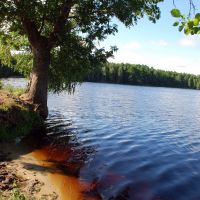 Bloody red water on the Chernoe Lake, Заречное