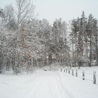 Хутор зимой 2012., Клесов