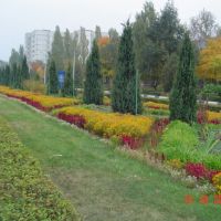 Осінні барви міста енергетиків, Кузнецовск