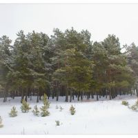 Winter pictures ..., Кузнецовск
