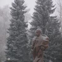 памятник Т.Г.Шевченку, Млинов