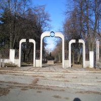 Jewish cemetery, Острог