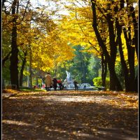 Walking in the autumn ..., Ровно