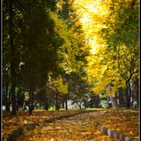 Autumn walking..., Ровно
