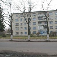 Lenina street 71, Белополье