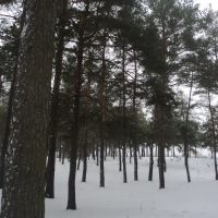 Ліс взимку, Кириковка