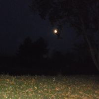 moon, Кириковка
