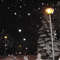 Снегопад, Конотоп