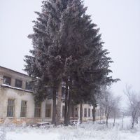 Агротехсервис (СХТ), Краснополье