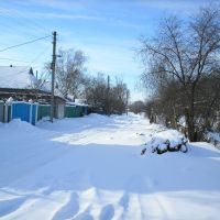 Снежная улица, Недригайлов