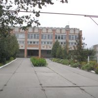 школа, Недригайлов