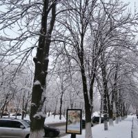 бульвар Шевченка, Ромны