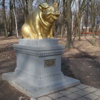 Памятник свині від вдячних українців, Ромны