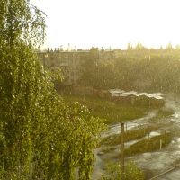 Мой двор, дождь, Шостка