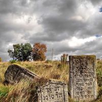 Бережани - старовинні мацеви, Berzhany - jewish cemetery, еврейское кладбище, Бережаны