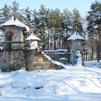 Зимовий Замковий ліс, Борщев