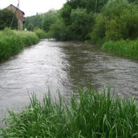 Stypa river, Бучач