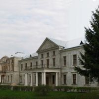 Палац Вишневецьких (Vyshnevetsky family palace), Вишневец