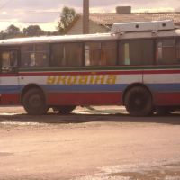 autobus made in Ukraine, Збараж