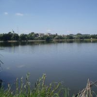 Зборів. Панорама з міського ставу. / Zboriv. A panorama of city lake, Зборов