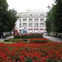 Квітучий оазис*, Тернополь